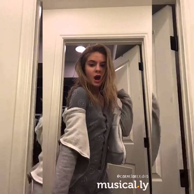 Brighton Sharbino