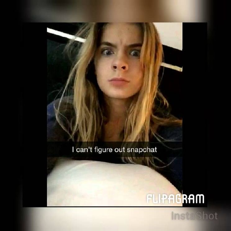 Brighton Sharbino