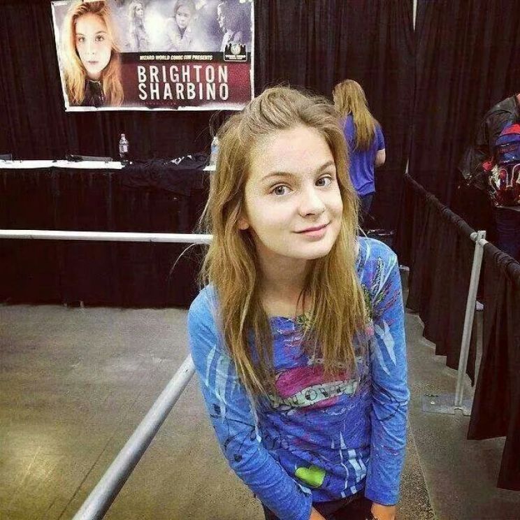 Brighton Sharbino