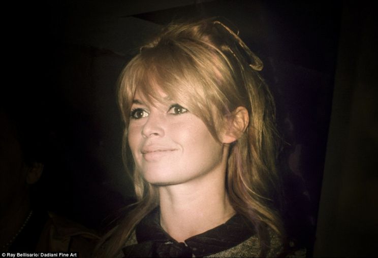 Brigitte Bardot