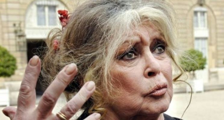 Brigitte Bardot