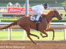 Britney Eurton photo