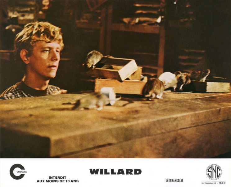 Bruce Davison