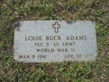 Buck Adams