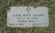 Buck Adams