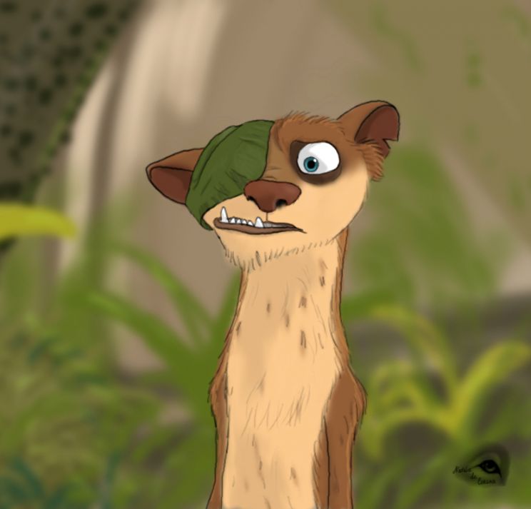 Buck