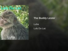 Buddy Lester