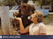 Buddy Van Horn photo