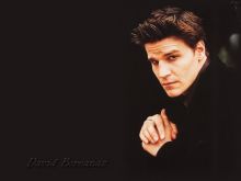 Burgess Jenkins