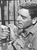 Burt Lancaster #301342 picture (Portrait Medium)