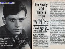 Burt Ward