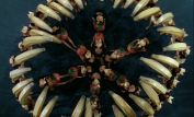 Busby Berkeley