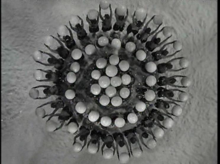 Busby Berkeley