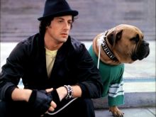 Butkus Stallone