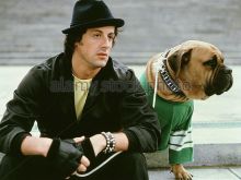 Butkus Stallone