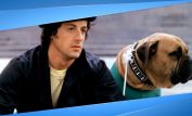 Butkus Stallone