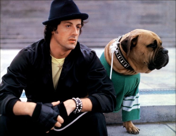 Butkus Stallone