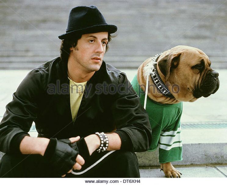 Butkus Stallone