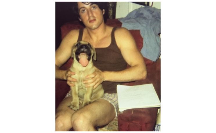 Butkus Stallone