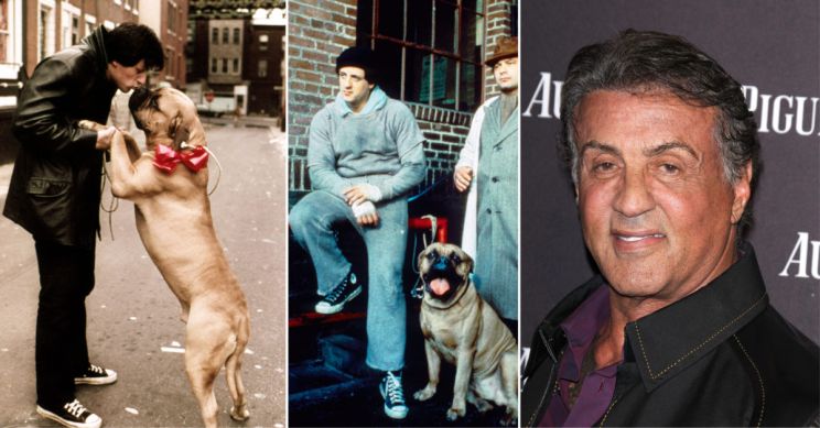 Butkus Stallone