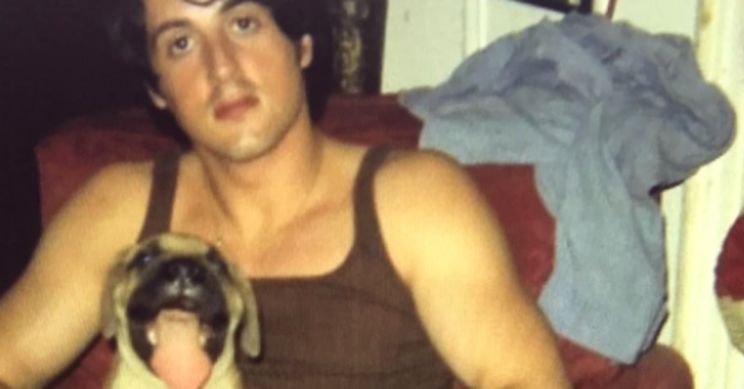 Butkus Stallone