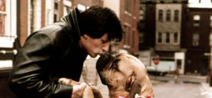 Butkus Stallone