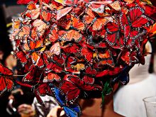 Butterfly McQueen