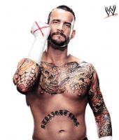 C.M. Punk