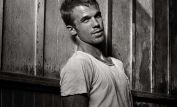 Cam Gigandet