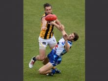 Cameron Banfield #3720980 picture (Landscape Medium)