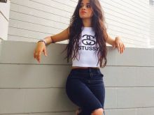 Camila Cabello #923458 picture (Landscape Medium)