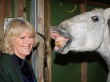 Camilla Parker-Bowles