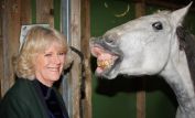 Camilla Parker-Bowles