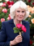 Camilla Parker-Bowles