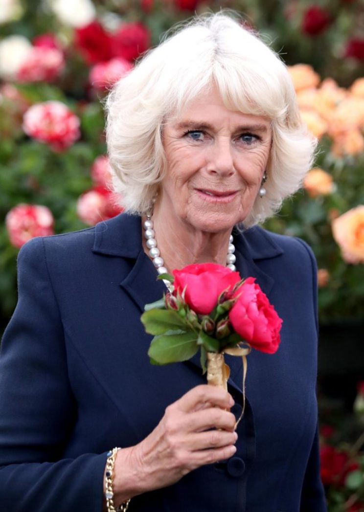 Camilla Parker-Bowles