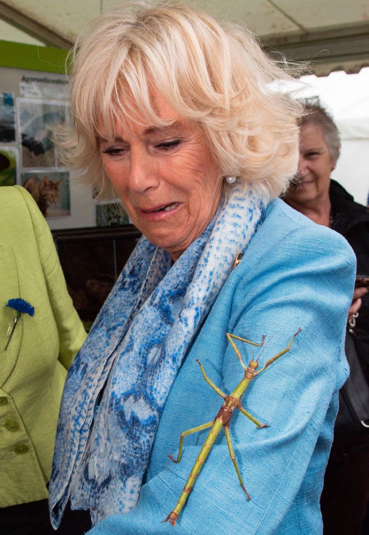 Camilla Parker-Bowles