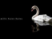 Camille Saint-Saëns