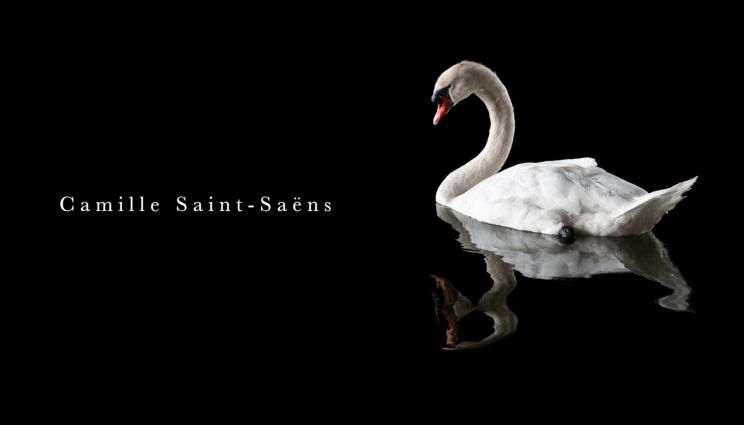 Camille Saint-Saëns