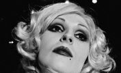 Candy Darling