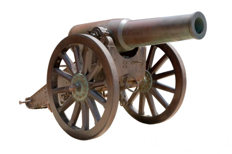 Cannon Wise