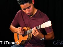 Carlos Gallardo