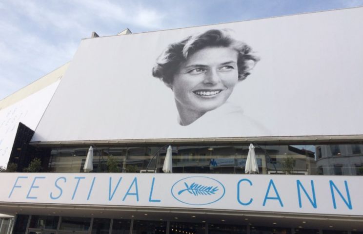Carlotta Elektra Bosch