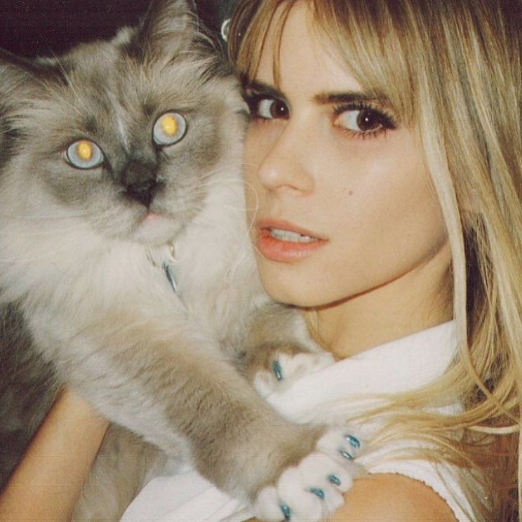 Carlson Young