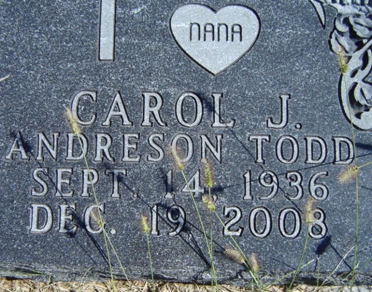 Carol Andreson