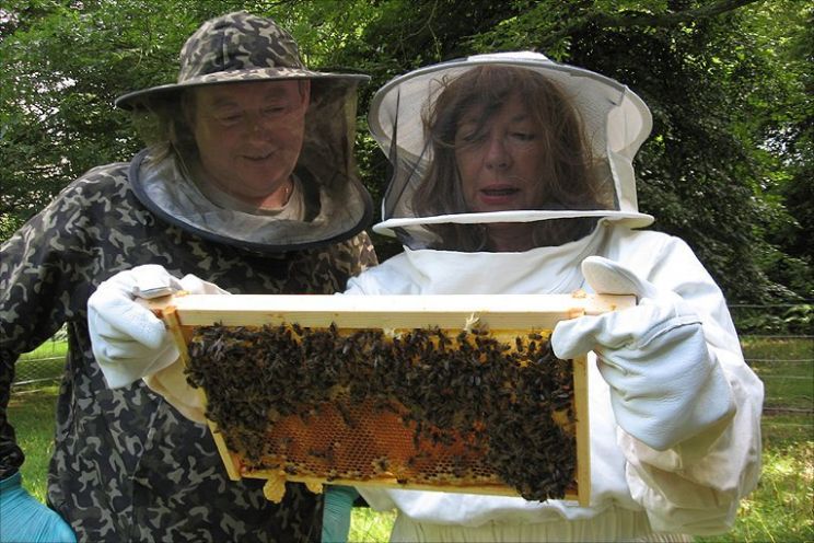 Carol Drinkwater