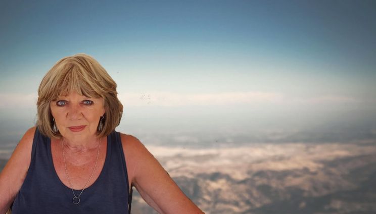 Carol Hawkins