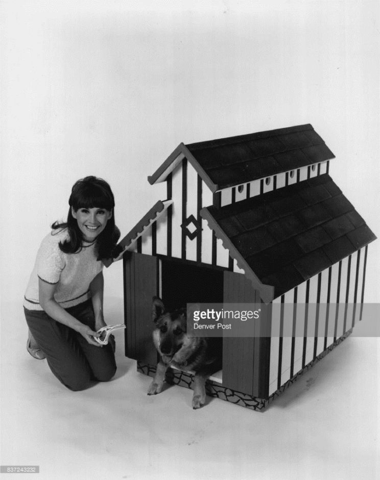 Carol Merrill
