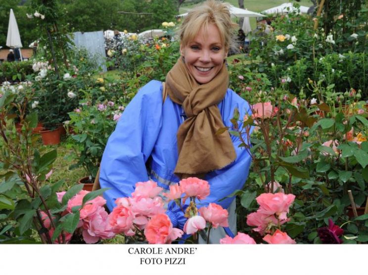 Carole André