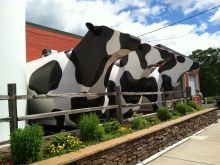 Caroline Renfro photo