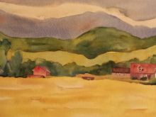 Carolyn Crotty